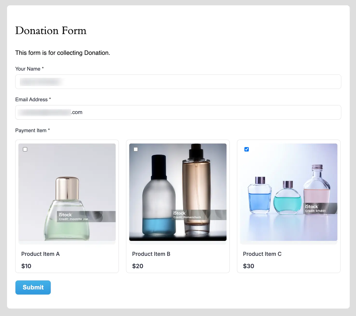 Payment Form Preview