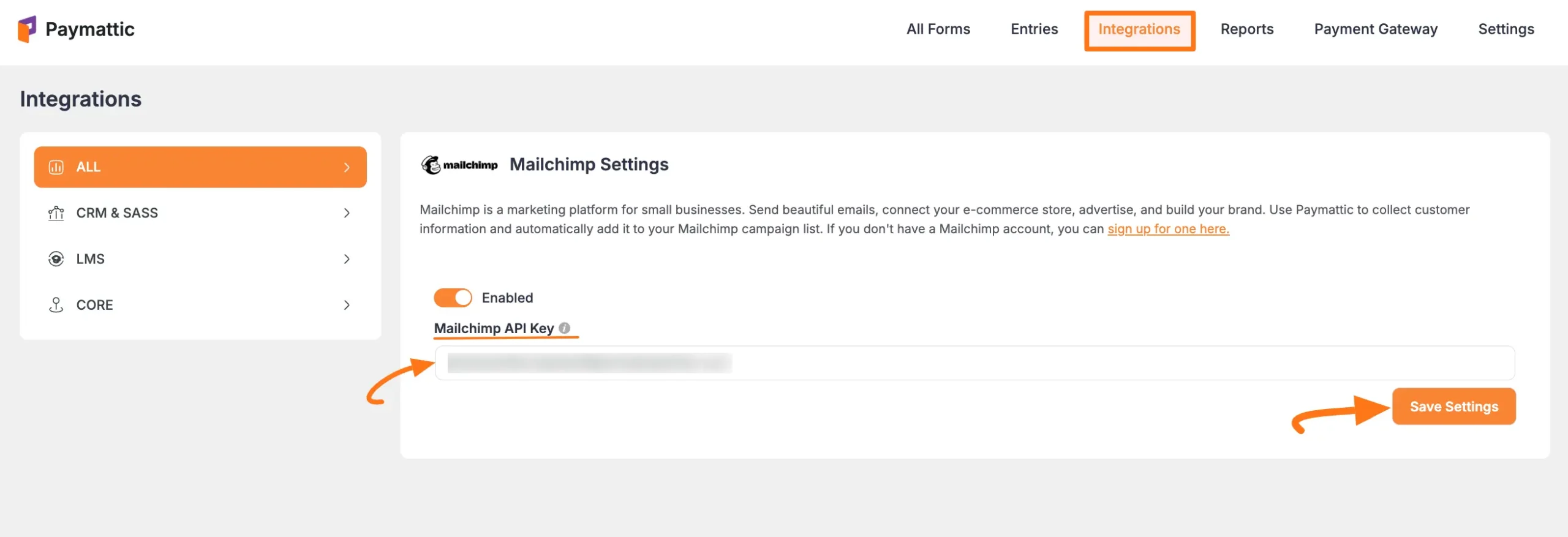Paste Mailchimp API key